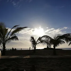 https://apartamentos-eos.in-canary-islands.com